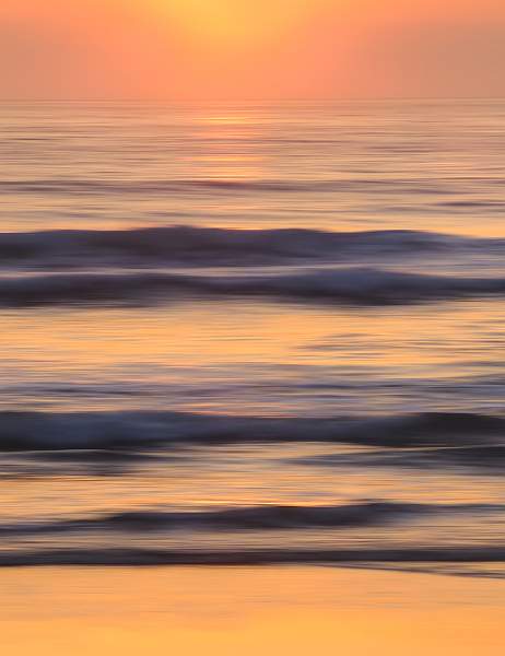 Shoreline Impressions 2.jpg - Beginners